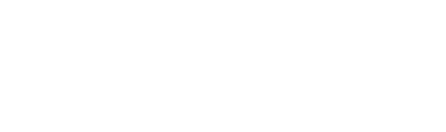 Nicolas Richter - Magicien à Strasbourg - Logo